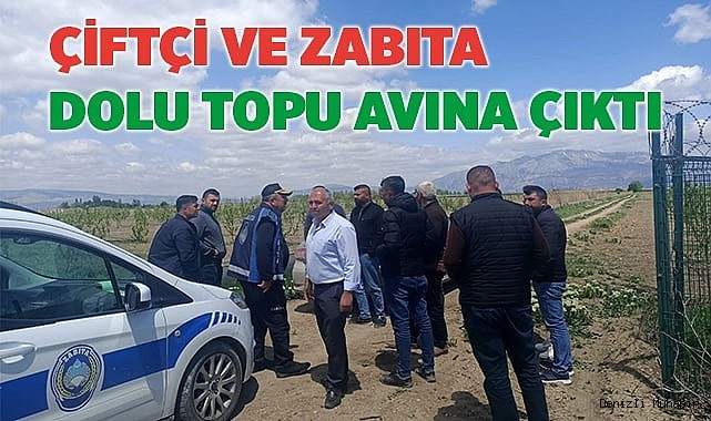 Çiftçi ve zabıta dolu topu avına çıktı