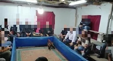 Cinayetten aranan şahıs horoz dövüştürürken yakalandı