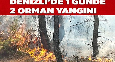 Denizli’de 1 günde 2 orman yangını