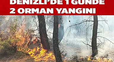 Denizli’de 1 günde 2 orman yangını