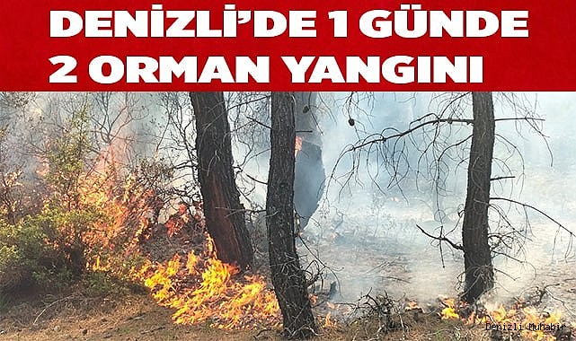 Denizli’de 1 günde 2 orman yangını