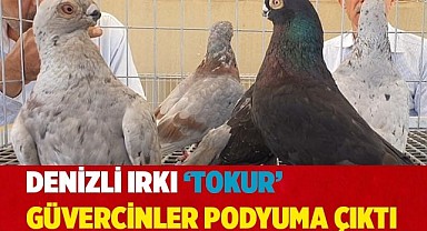 Denizli ırkı ‘Tokur’ güvercinler podyuma çıktı