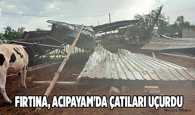 Fırtına, Acıpayam'da çatıları uçurdu
