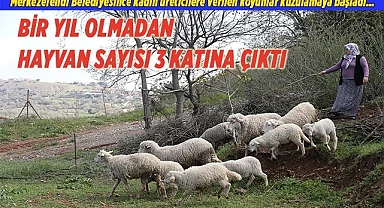 KADIN ÜRETİCİLERDEN BAŞKAN DOĞAN’A TEŞEKKÜR