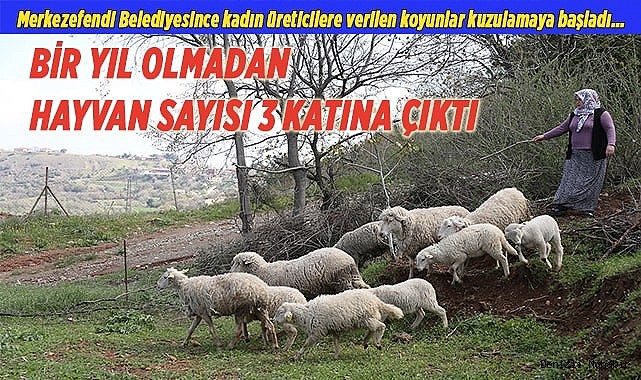 KADIN ÜRETİCİLERDEN BAŞKAN DOĞAN’A TEŞEKKÜR