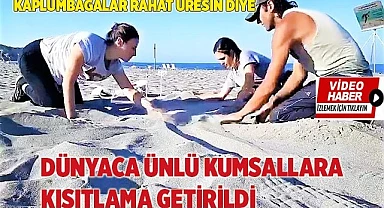 Kaplumbağalar rahat üresin diye dünyaca ünlü kumsallara kısıtlama getirildi