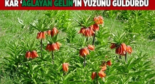 Kar 'Ağlayan Gelin'in yüzünü güldürdü
