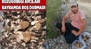 Kilosu 500 liradan satışa sundular