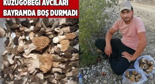Kilosu 500 liradan satışa sundular