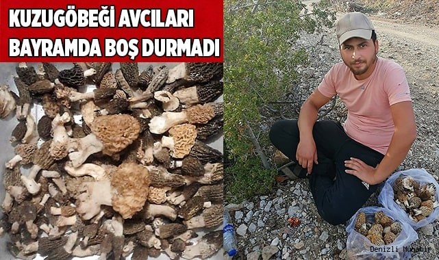 Kilosu 500 liradan satışa sundular