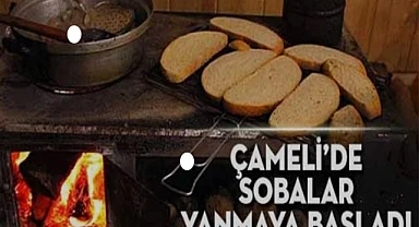 Kuzugöbeği avcıları da dağa çıktı