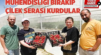 Mühendis çift mesleklerini bırakıp çilek serası kurdu