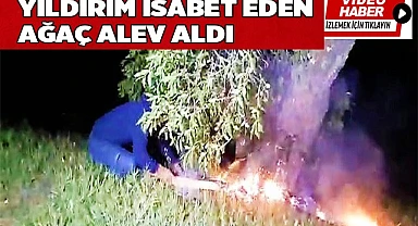 Yıldırım isabet eden ağaç alev aldı
