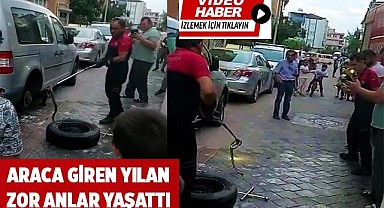 Araca giren yılan zor anlar yaşattı