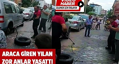 Araca giren yılan zor anlar yaşattı