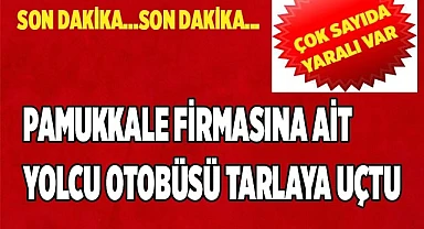Bozkurt'ta yolcu otobüsü tarlaya uçtu (VİDEO)
