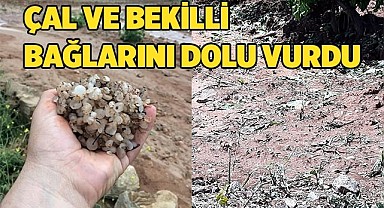 ÇAL VE BEKİLLİ BAĞLARINI DOLU VURDU