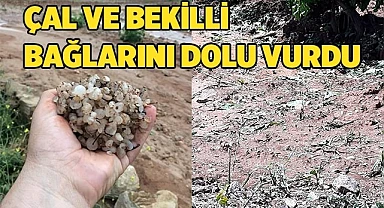 ÇAL VE BEKİLLİ BAĞLARINI DOLU VURDU