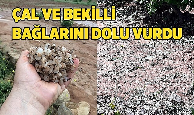 ÇAL VE BEKİLLİ BAĞLARINI DOLU VURDU