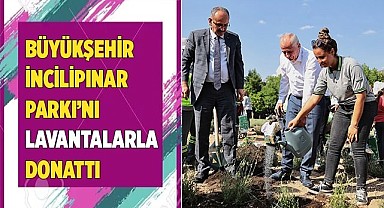 Daha yeşil ve çevreci bir Denizli için…