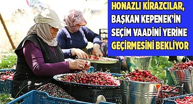 Honazlı kirazcılar, Kepenek’in seçim vaadini yerine geçirmesini bekliyor