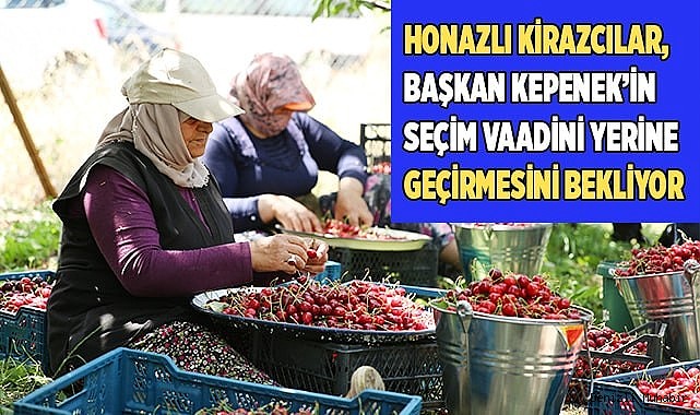 Honazlı kirazcılar, Kepenek’in seçim vaadini yerine geçirmesini bekliyor