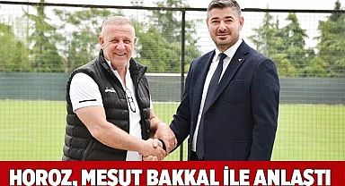 Horoz, Mesut Bakkal ile anlaştı