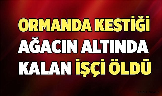 Kestiği ağacın altında kalan işçi öldü