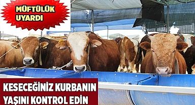 Kurbanlık hayvanlarda aranan yaş şartlarına dikkat