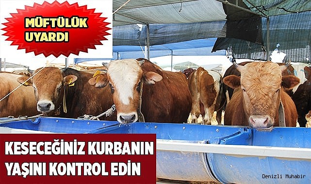 Kurbanlık hayvanlarda aranan yaş şartlarına dikkat