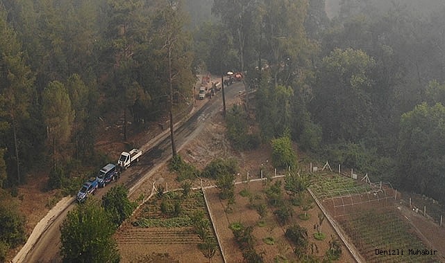 Marmaris’teki orman yangıyla ilgili 1 kişi gözaltına alındı