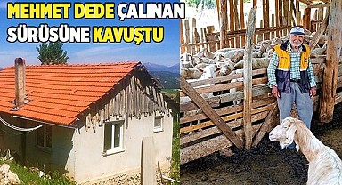 Mehmet Dede çalınan sürüsüne kavuştu