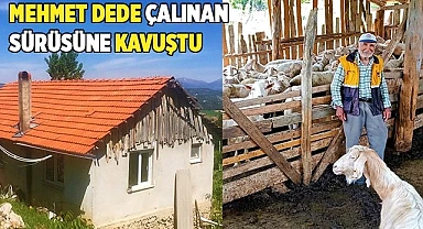 Mehmet Dede çalınan sürüsüne kavuştu