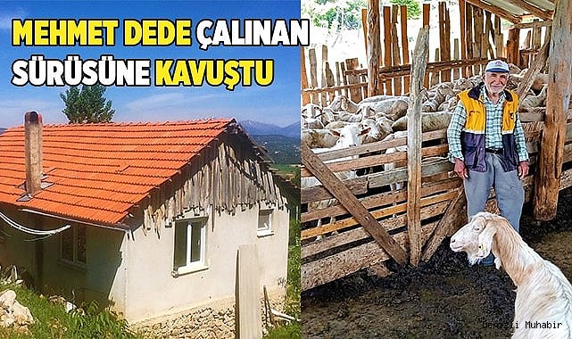Mehmet Dede çalınan sürüsüne kavuştu