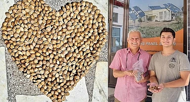Meyve çekirdekleri ağaç olsun kampanyası