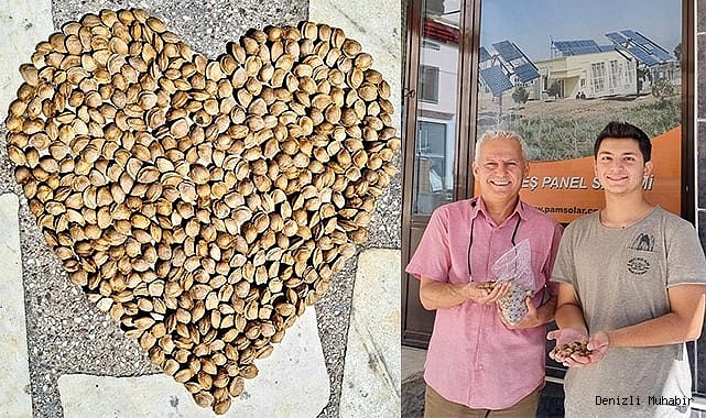 Meyve çekirdekleri ağaç olsun kampanyası