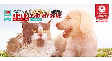 Sahipli Kedi ve Köpekler Kimlikleniyor