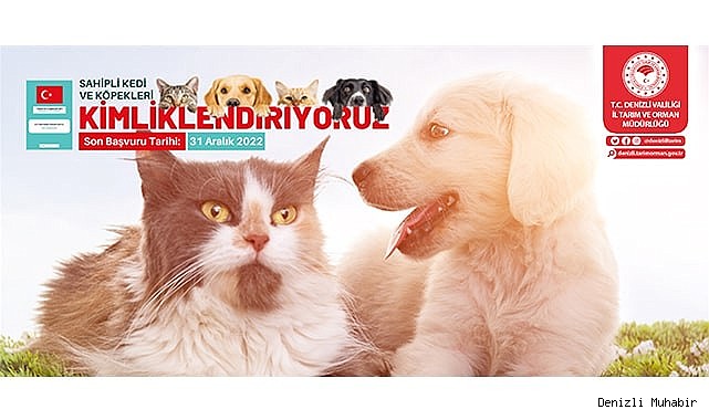 Sahipli Kedi ve Köpekler Kimlikleniyor