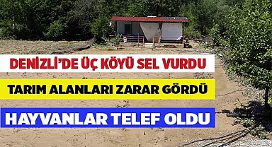 TARIM ARAZİLERİ BÜYÜK ZARAR GÖRDÜ