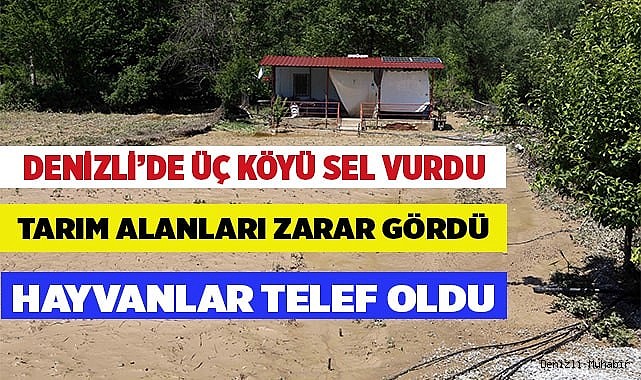 TARIM ARAZİLERİ BÜYÜK ZARAR GÖRDÜ