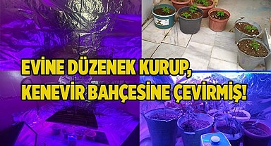 ULTRAVİYOLE DÜZENEK ÇIKTI