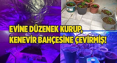 ULTRAVİYOLE DÜZENEK ÇIKTI