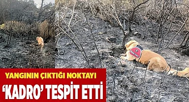 Yangının çıktığı noktayı ‘Kadro’ tespit etti