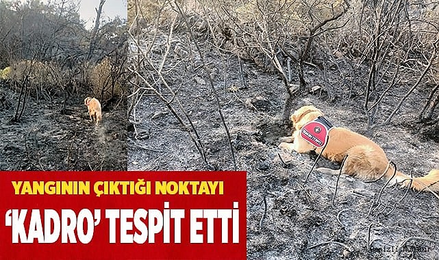 Yangının çıktığı noktayı ‘Kadro’ tespit etti