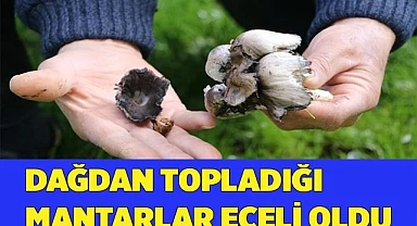 Yediği mantarlardan zehirlendi, öldü