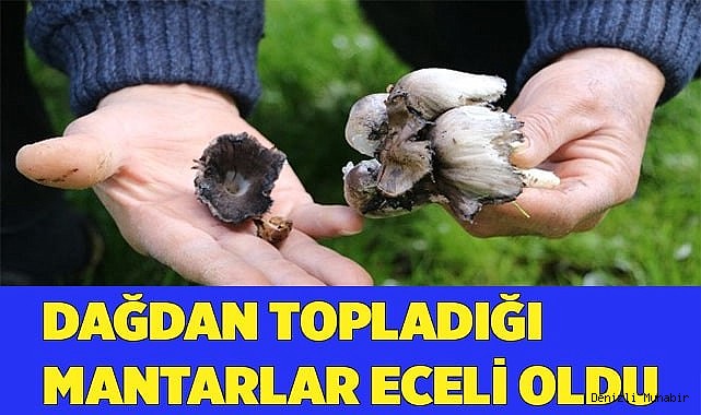 Yediği mantarlardan zehirlendi, öldü