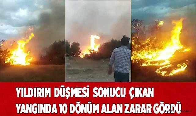 Yıldırım düşmesi sonucu çıkan yangında 10 dönüm alan zarar gördü