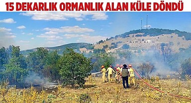 15 dekarlık ormanlık alan küle döndü