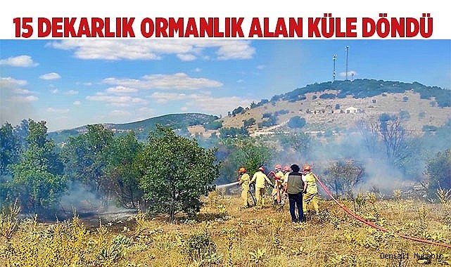 15 dekarlık ormanlık alan küle döndü