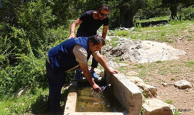 Ardıç kokulu su, şifa dağıtıyor
